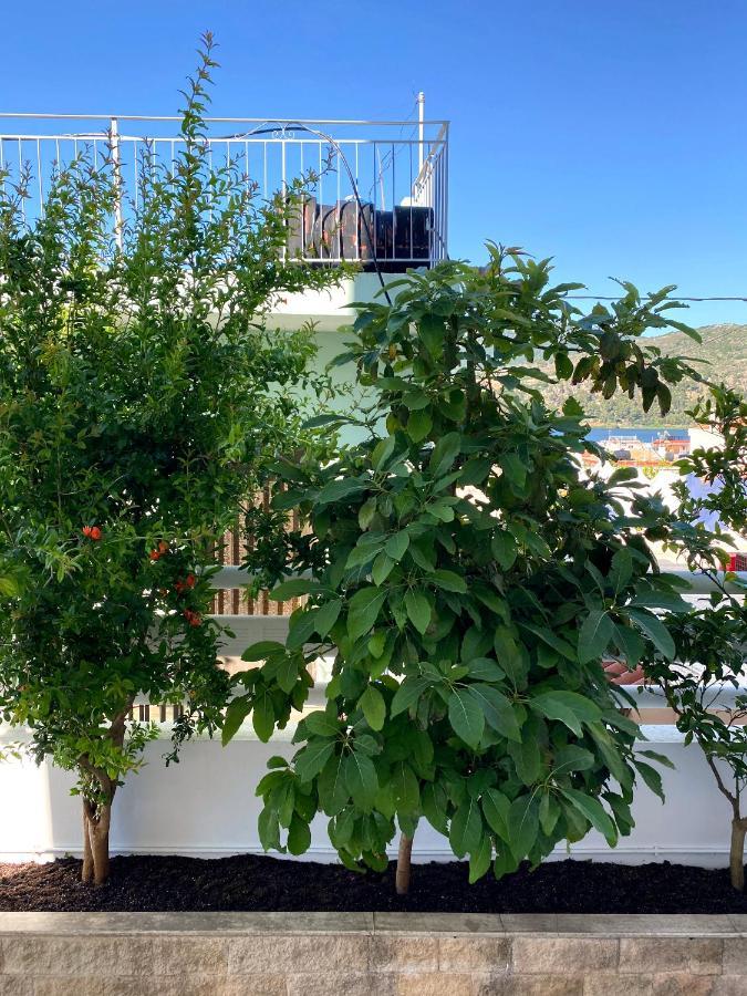 Citrus Apartment Argostoli  Eksteriør billede